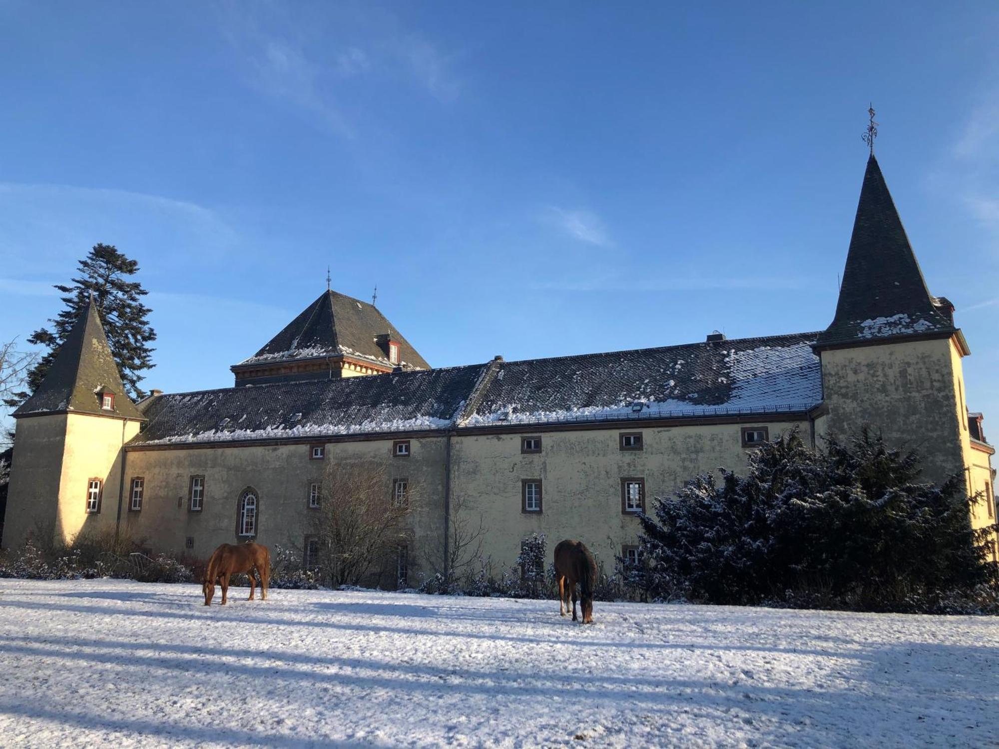 L' Extravagante Im Garten Von Schloss Schmidtheim Exteriör bild